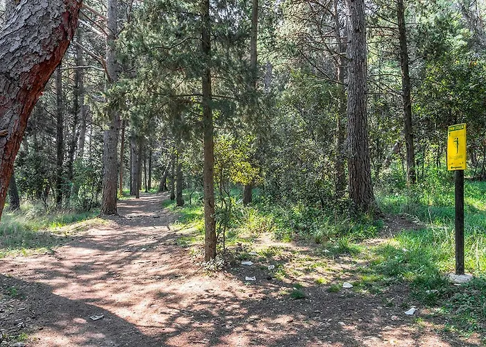 Apartament Lungomare *